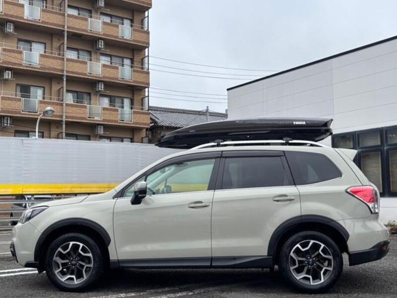 FORESTER
