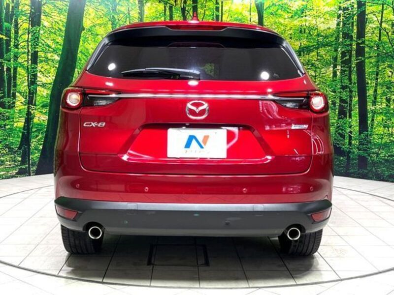 CX-8
