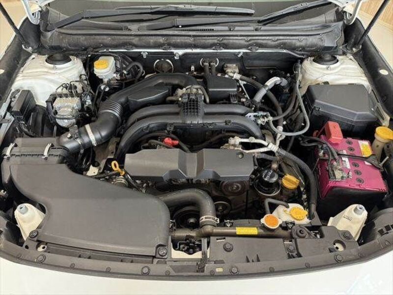 LEGACY OUTBACK