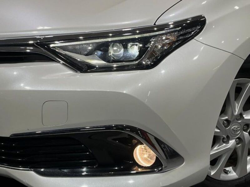 AURIS HYBRID