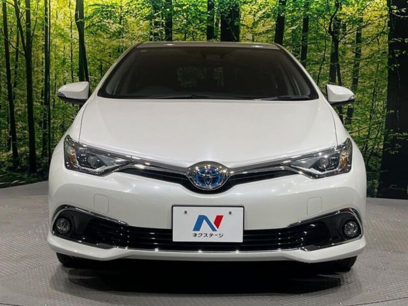 AURIS HYBRID