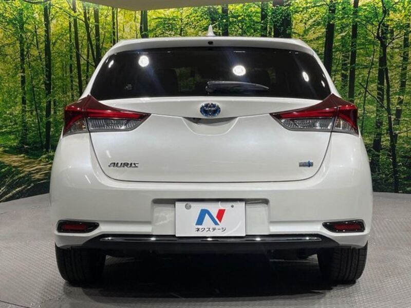 AURIS HYBRID
