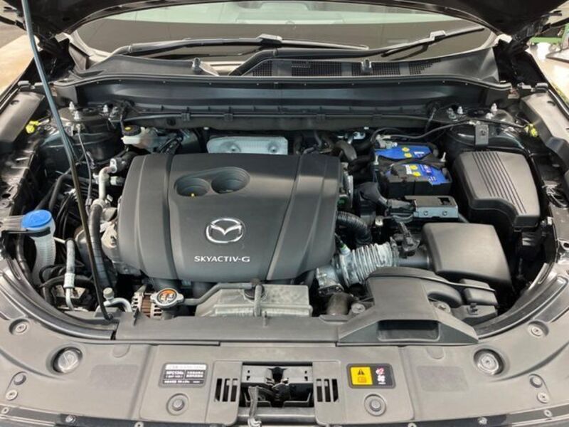 CX-8