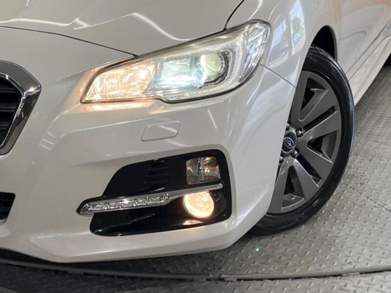 LEVORG