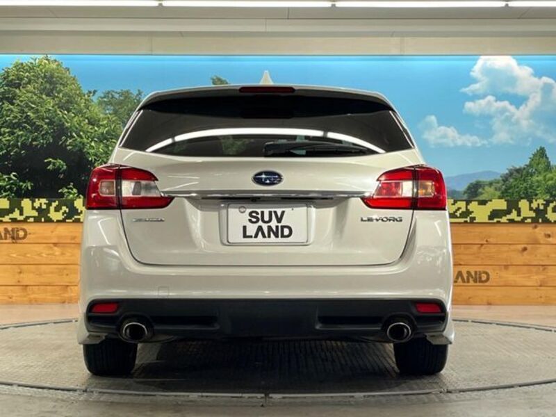LEVORG