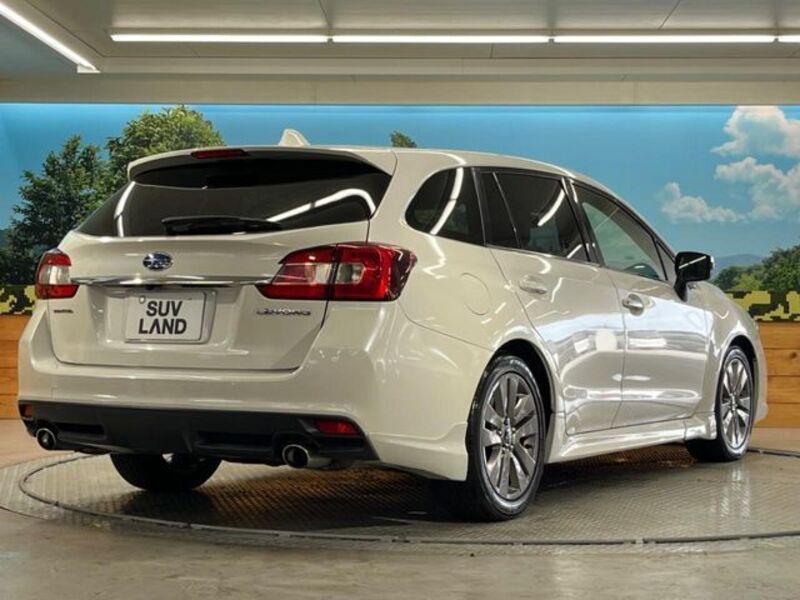 LEVORG