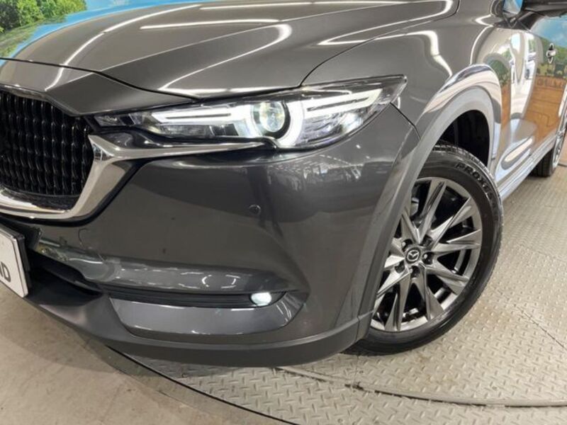 CX-8
