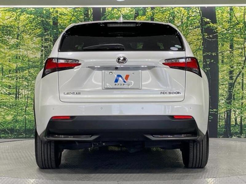 NX
