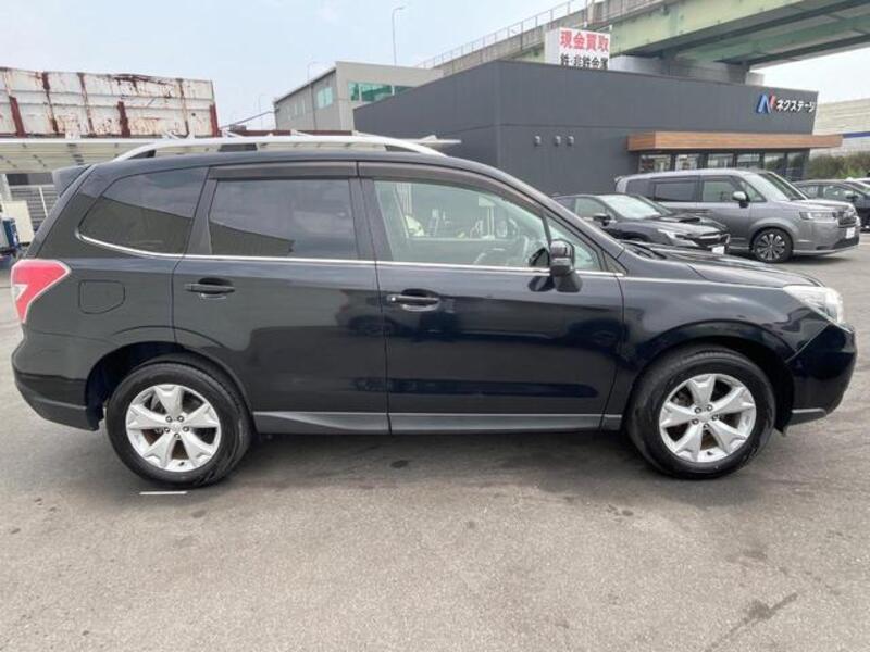 FORESTER