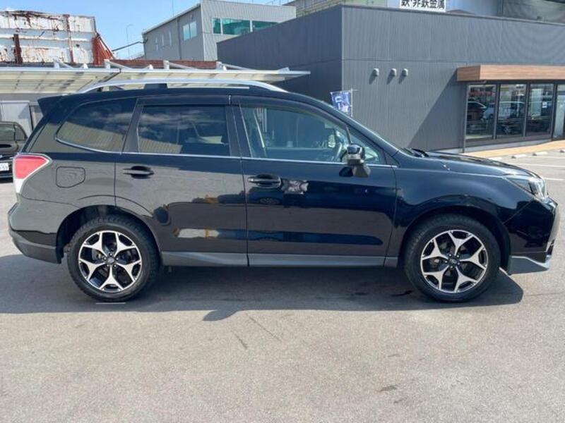 FORESTER