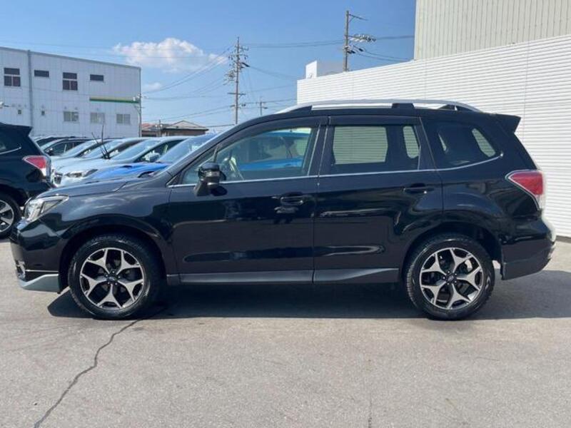 FORESTER