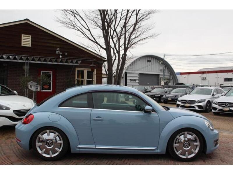 THE BEETLE