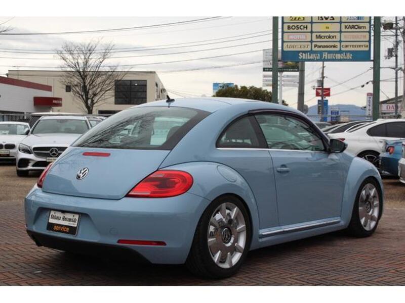 THE BEETLE