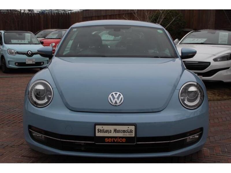 THE BEETLE