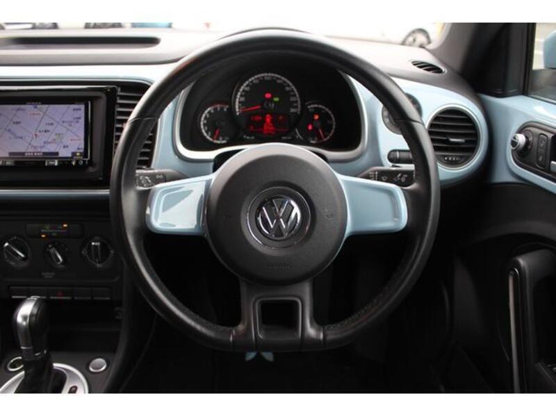 THE BEETLE
