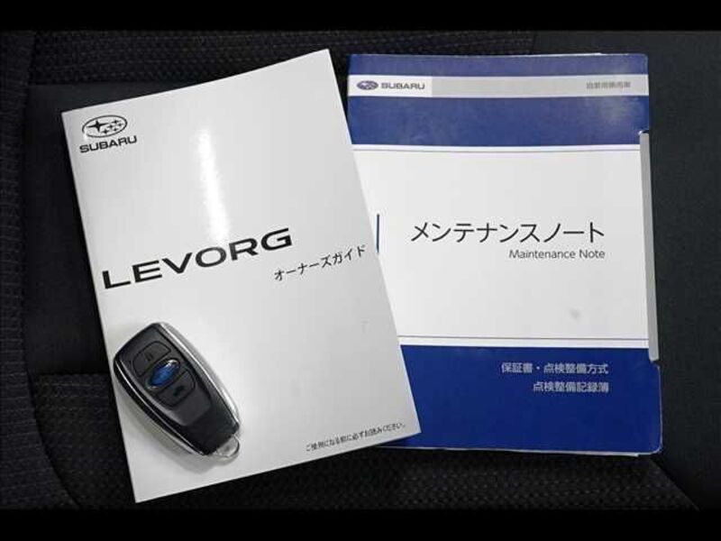 LEVORG