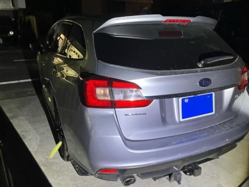LEVORG