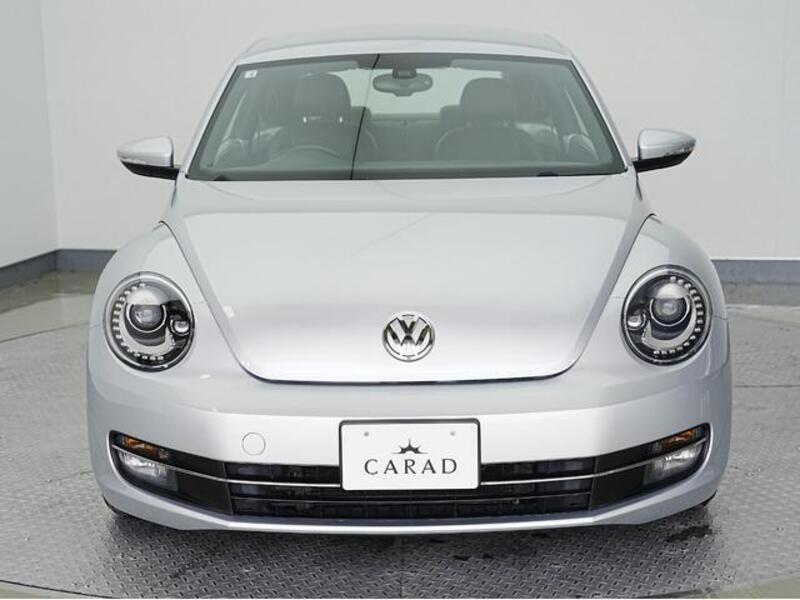 THE BEETLE