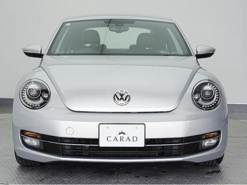 THE BEETLE