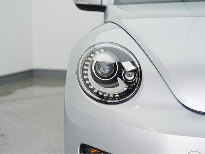THE BEETLE