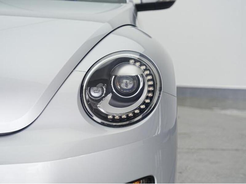 THE BEETLE