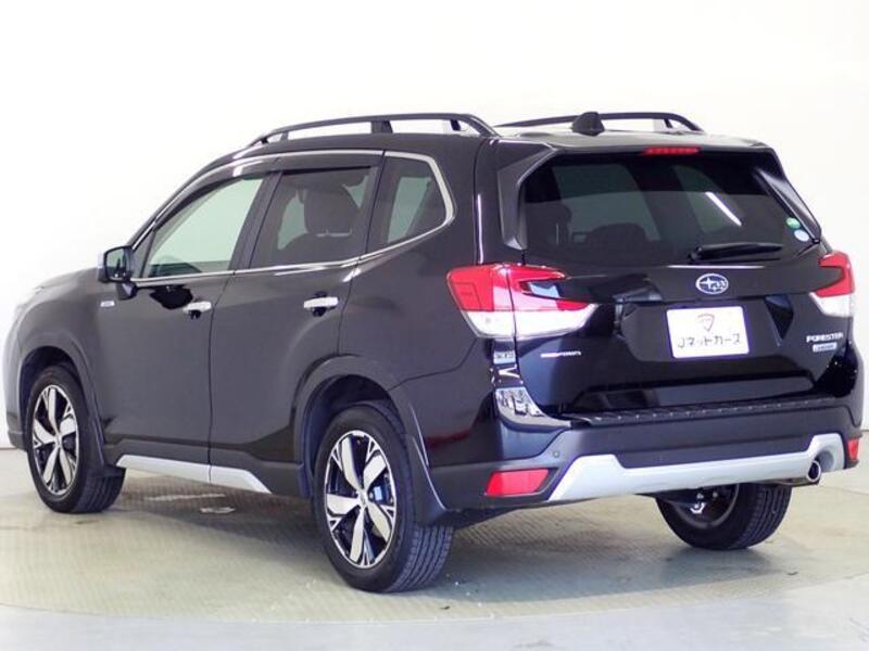 FORESTER