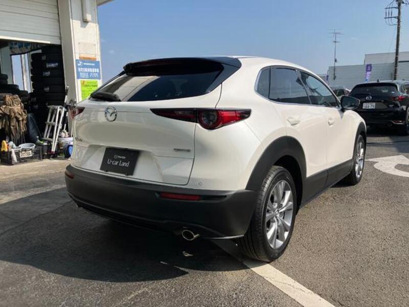CX-30