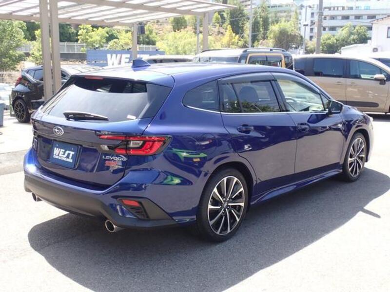 LEVORG