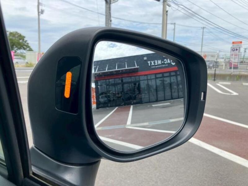 XV