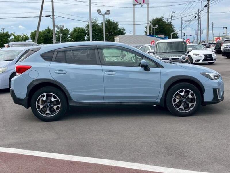 XV