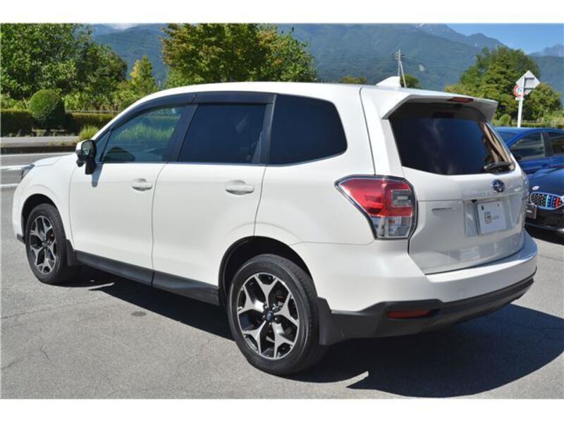 FORESTER