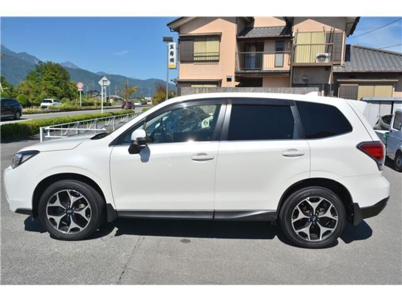 FORESTER