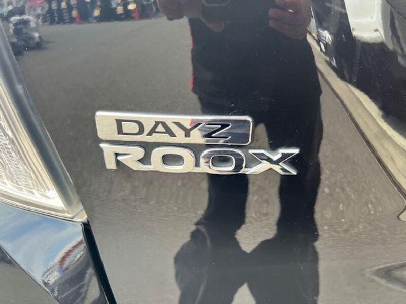 DAYZ ROOX