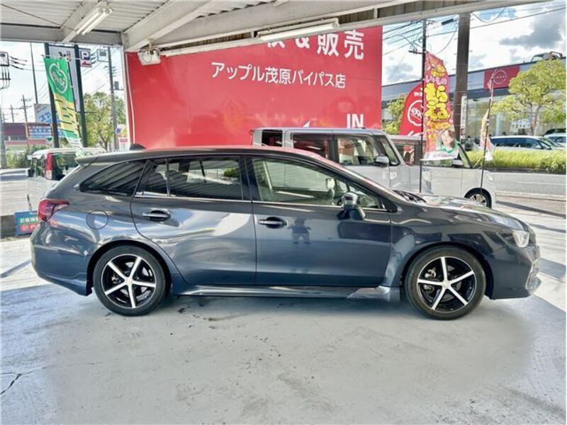 LEVORG
