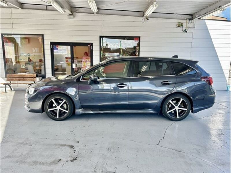 LEVORG
