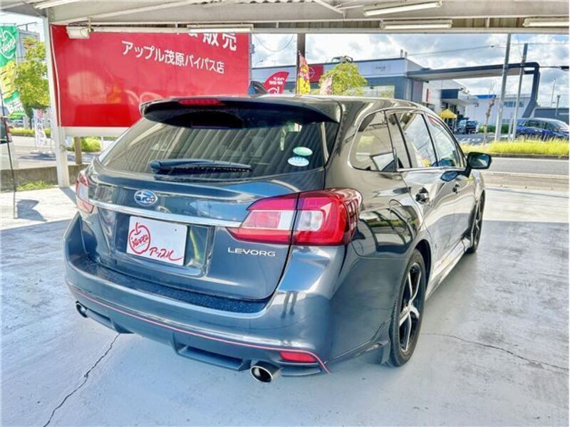 LEVORG