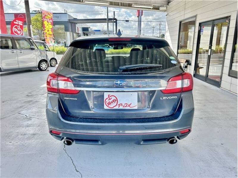 LEVORG