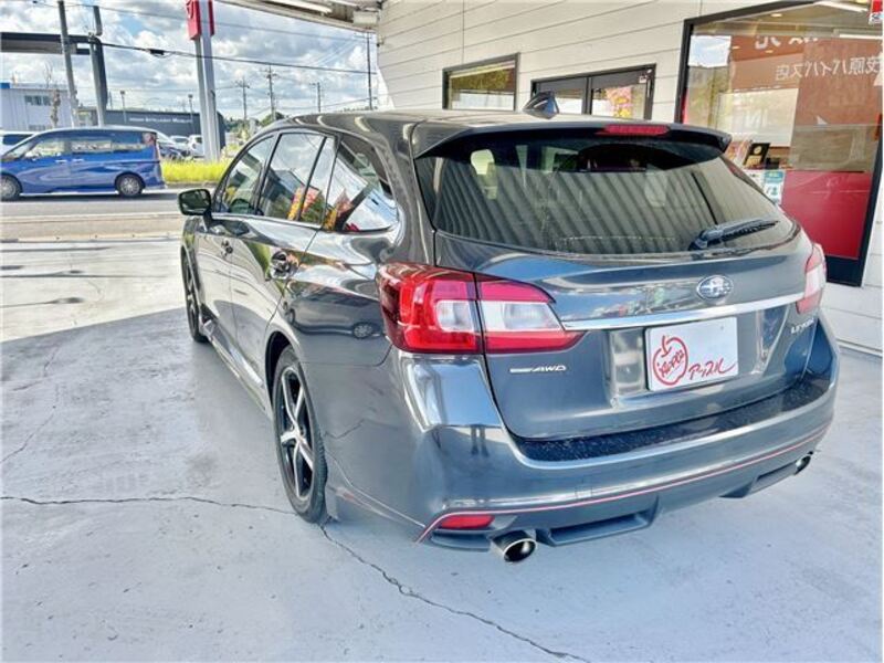 LEVORG