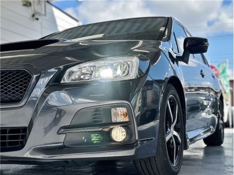 LEVORG