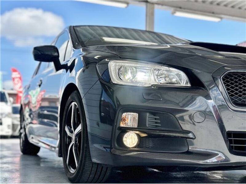 LEVORG