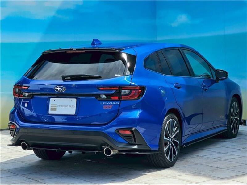 LEVORG