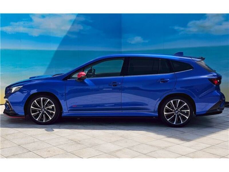 LEVORG