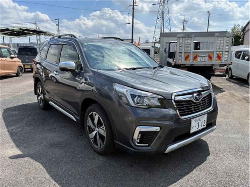 FORESTER