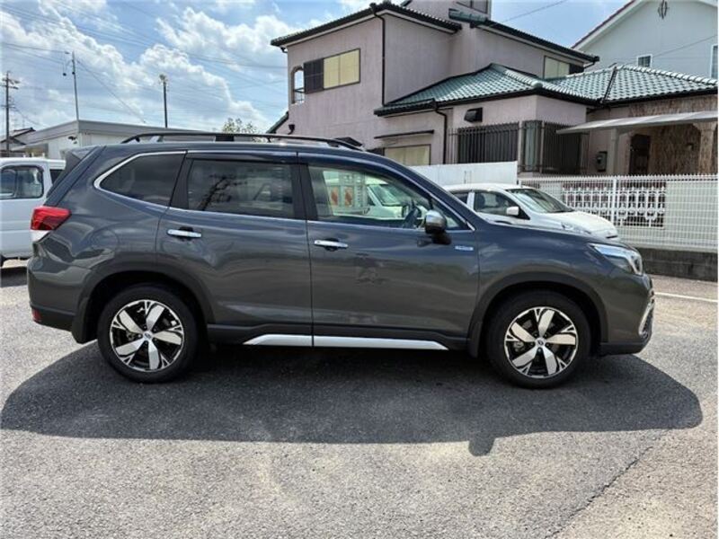 FORESTER