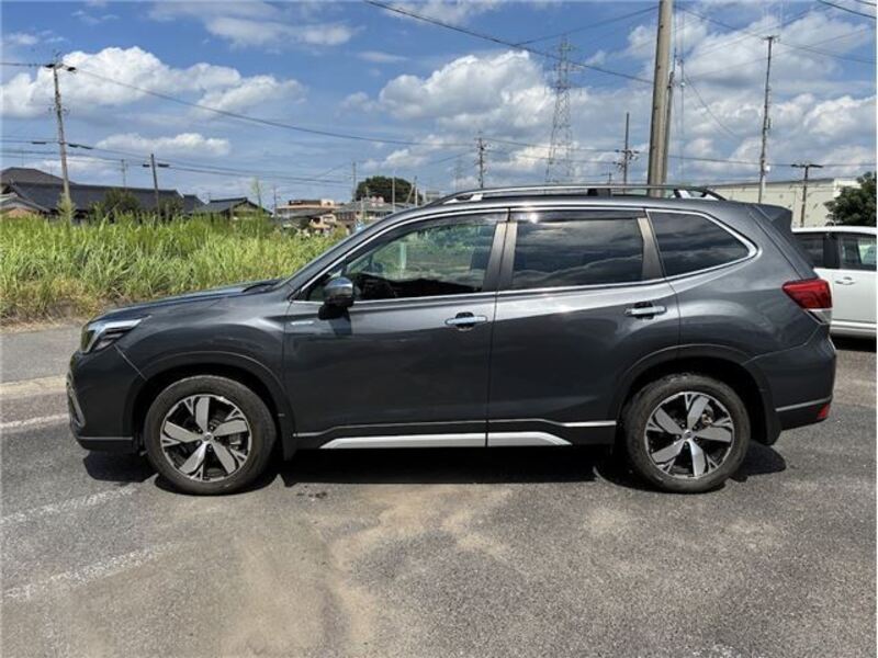 FORESTER