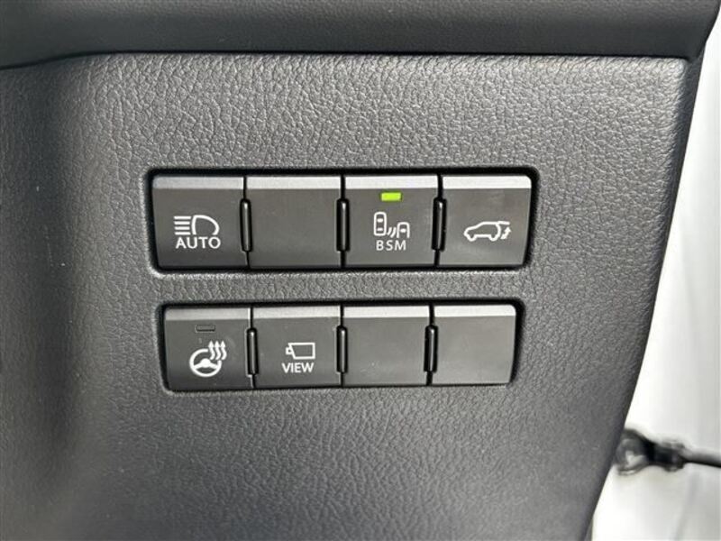 NX