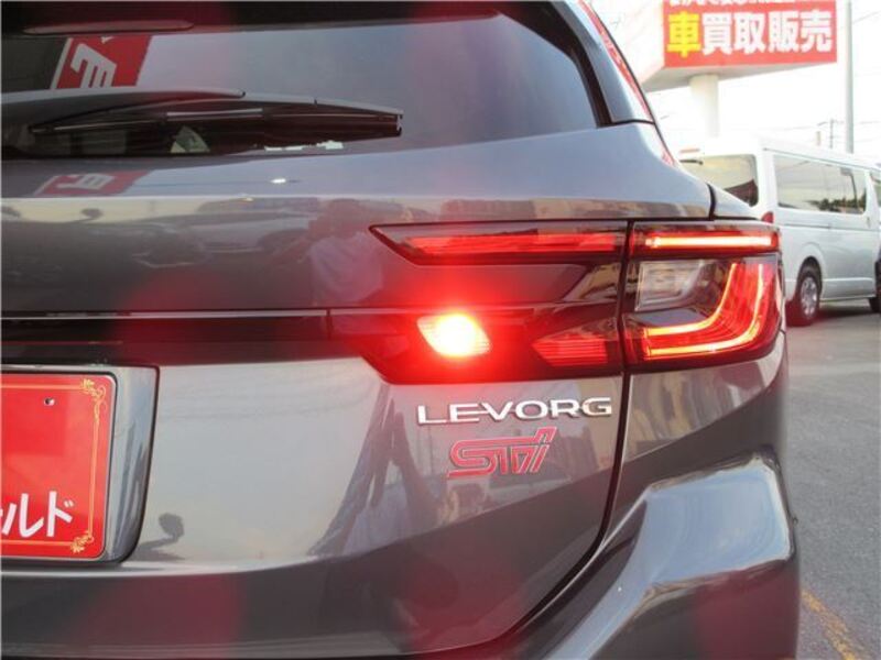 LEVORG