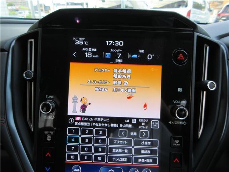 LEVORG