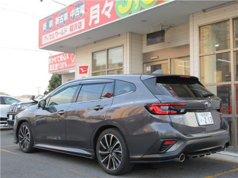 LEVORG