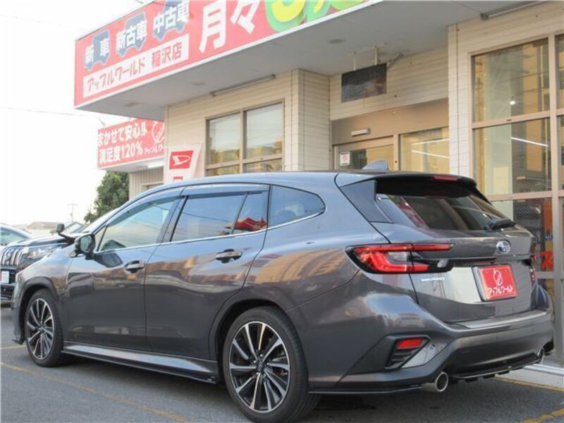 LEVORG